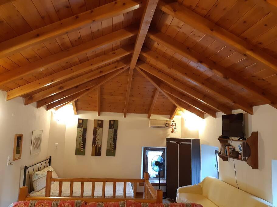 Kouros Villa! Paltsi Pilion المظهر الخارجي الصورة