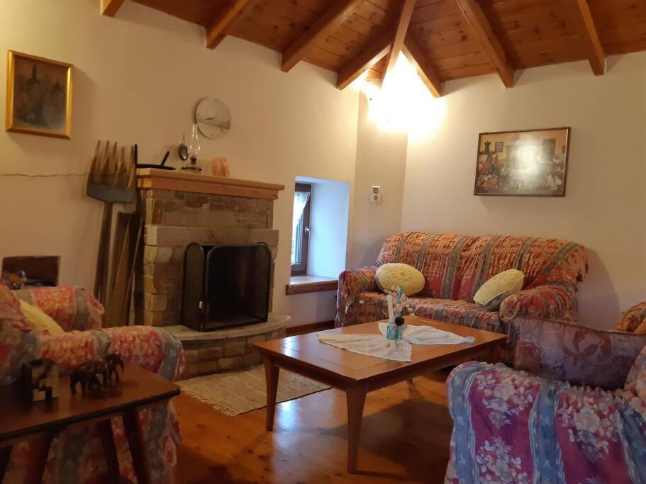 Kouros Villa! Paltsi Pilion المظهر الخارجي الصورة