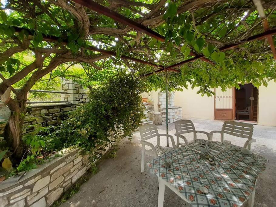 Kouros Villa! Paltsi Pilion المظهر الخارجي الصورة