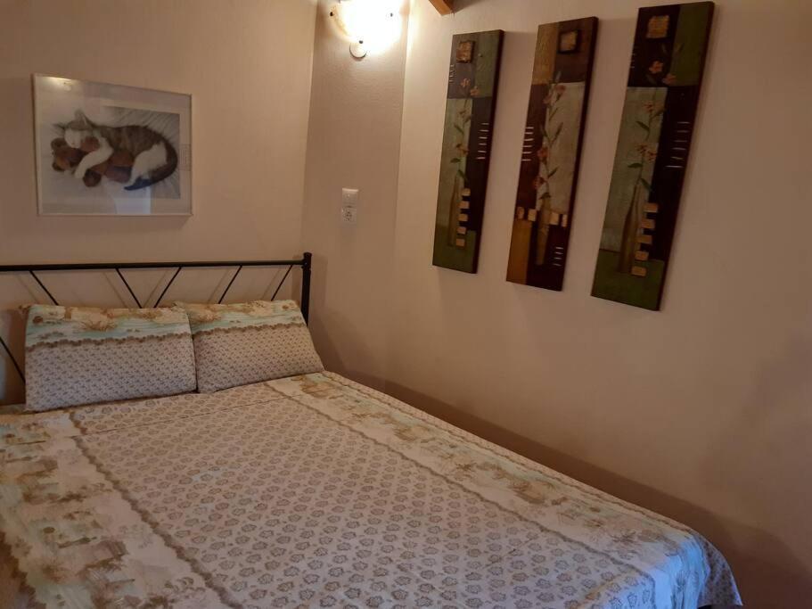 Kouros Villa! Paltsi Pilion المظهر الخارجي الصورة