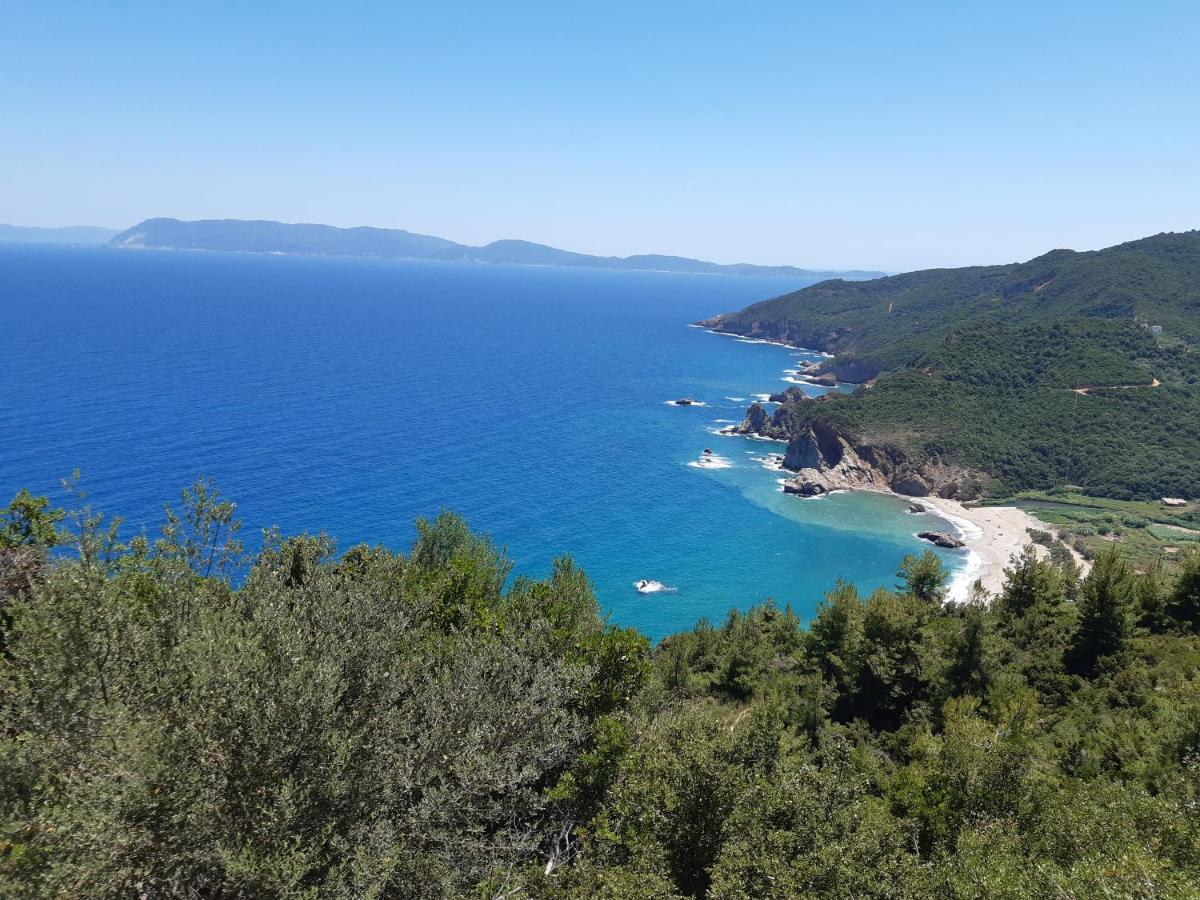 Kouros Villa! Paltsi Pilion المظهر الخارجي الصورة