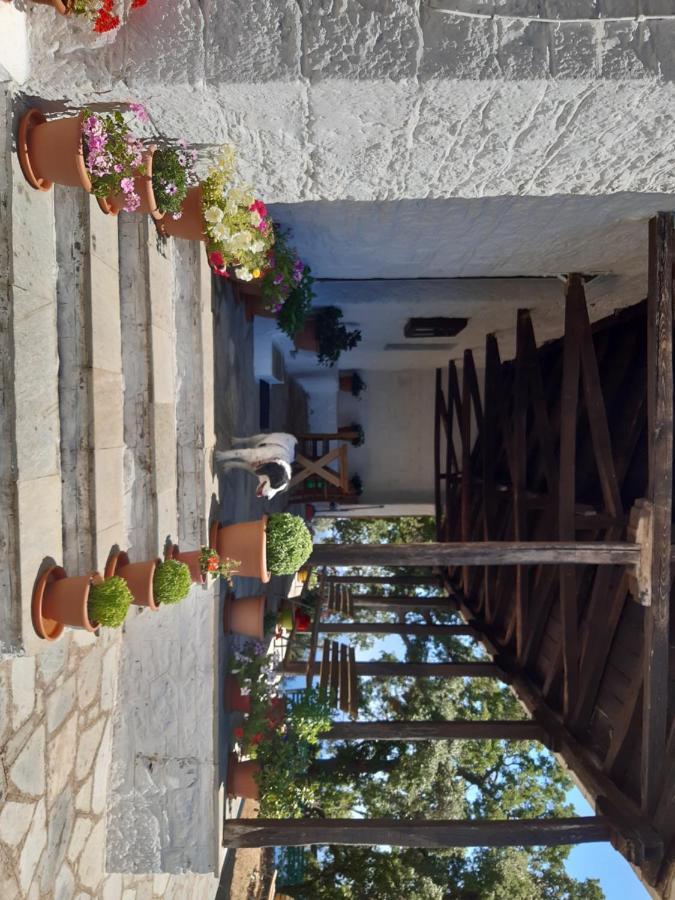 Kouros Villa! Paltsi Pilion المظهر الخارجي الصورة
