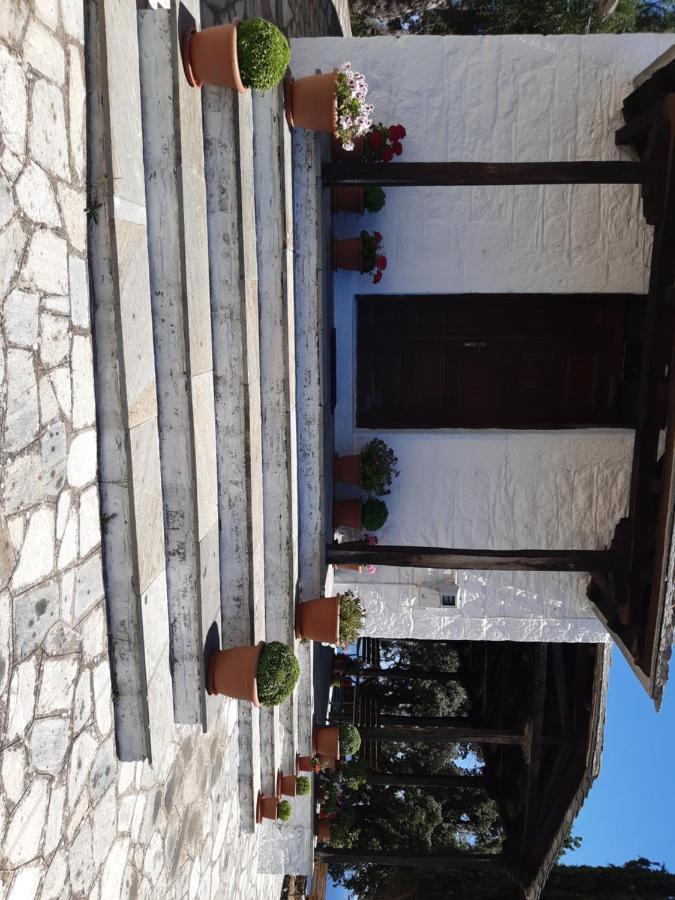 Kouros Villa! Paltsi Pilion المظهر الخارجي الصورة