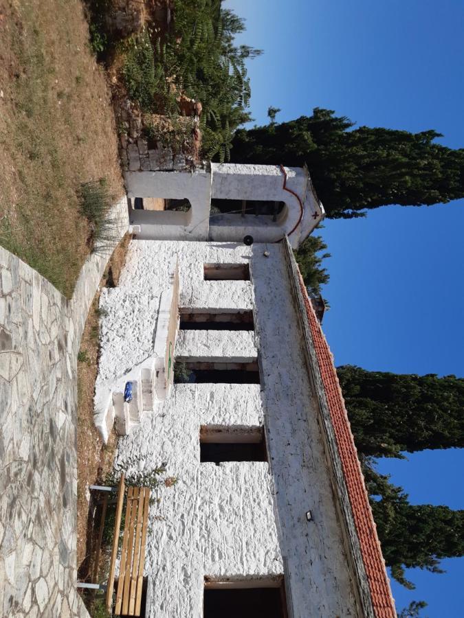 Kouros Villa! Paltsi Pilion المظهر الخارجي الصورة